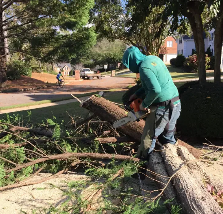 770 Arborist what clients say