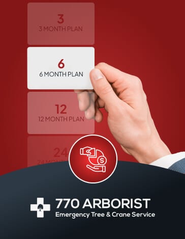 Tree Service Financing