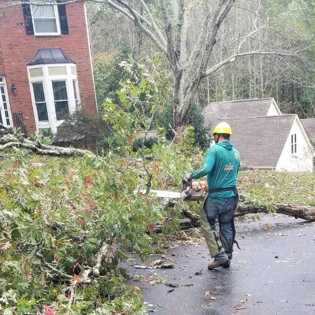 emergency tree service in Avondale Estates, GA