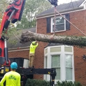 emergency tree service Woodstock, GA