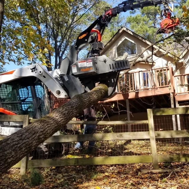 tree service woodstock ga