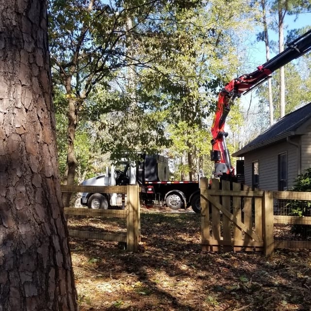 Emergency Tree Service in Lawrenceville GA