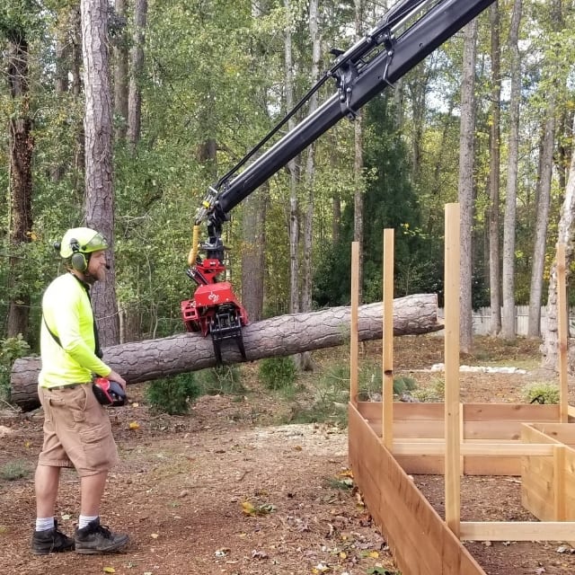 tree service sandy springs removing a tree with crane