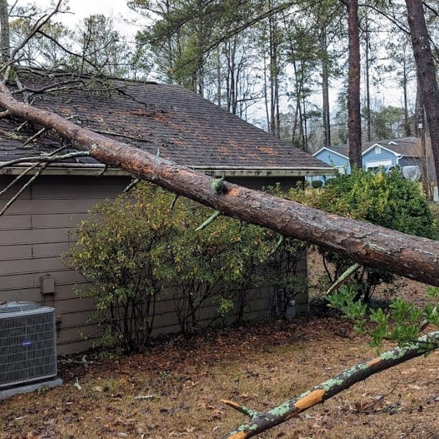 tree service powder springs, ga