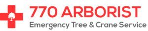 770 Arborist | Best Emergency Tree Removal in GA