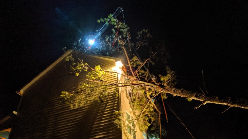 Emergency Tree Removal in Louisiana