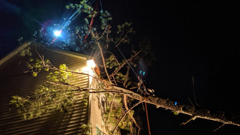 Emergency Tree Service