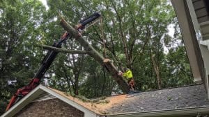 emergency tree service east point ga