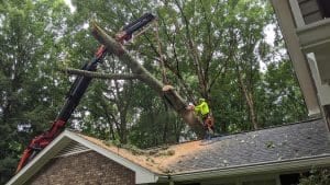 Emergency Tree Service in Roswell, GA