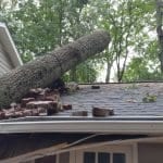Tree Service Insurance in Atlanta
