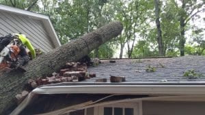Tree Service Insurance in Atlanta