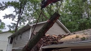 tree service north atlanta ga