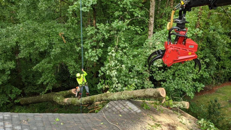 emergency tree removals in Alpharetta