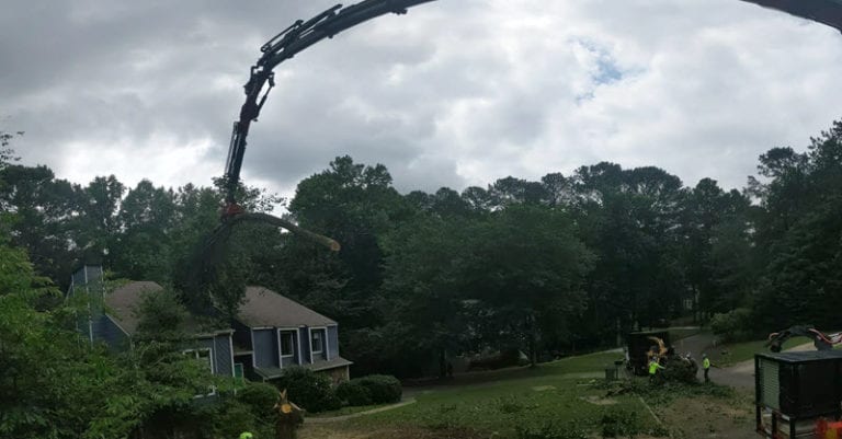Emergency Tree Removal 