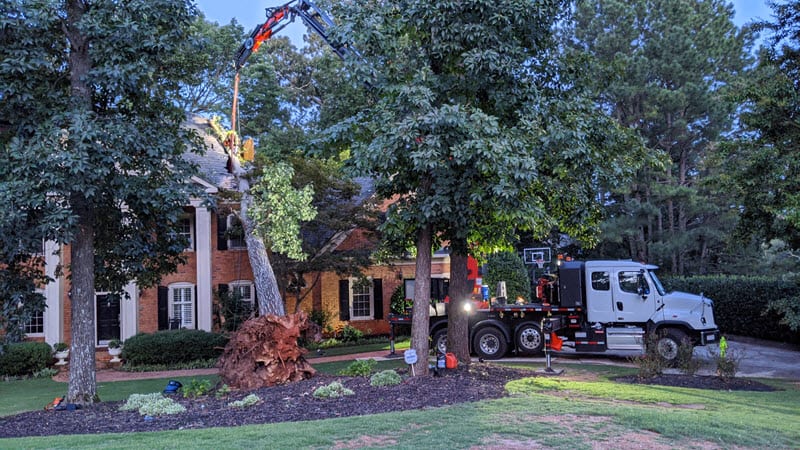 dunwoody-emergency-tree-removal2
