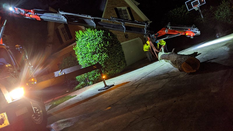 dunwoody-emergency-tree-removal8
