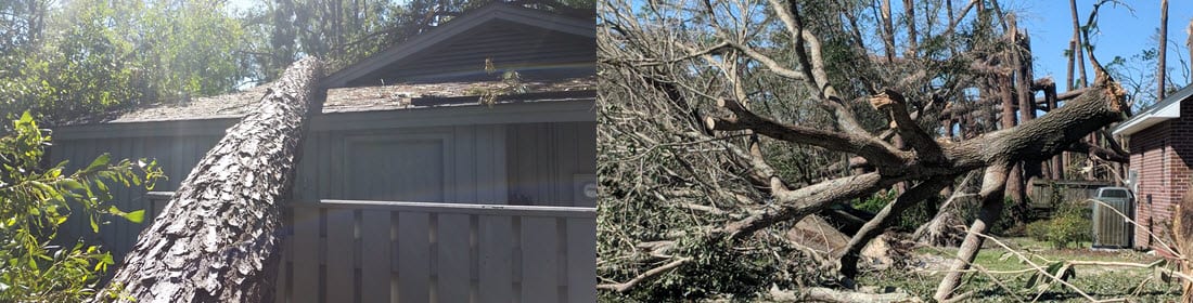 Emergency tree removal crew working to clear a fallen tree from a damaged home in Atlanta