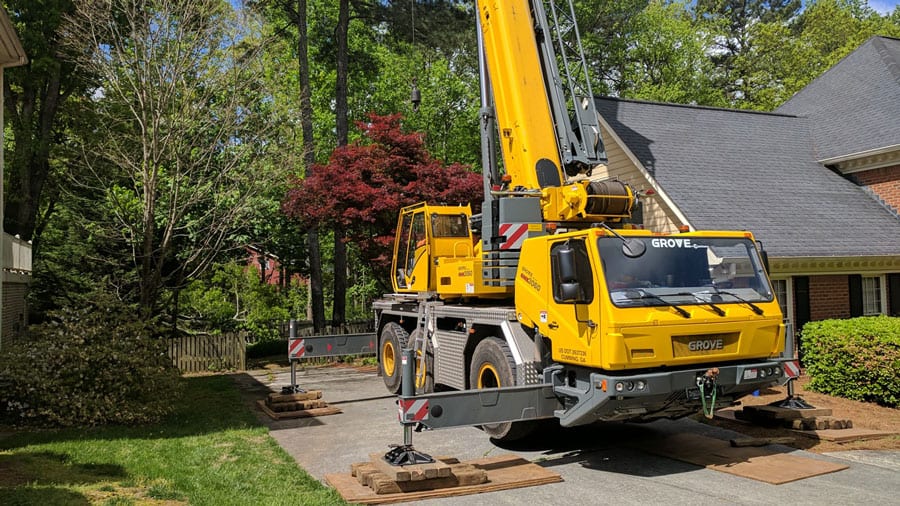 insurance for tree removal