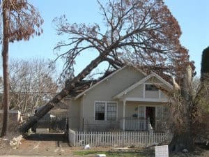 Emergency Tree Service in Kennesaw, GA