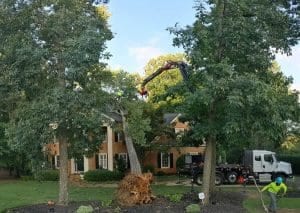 emergency tree service east point ga