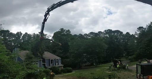 fallen tree removal in Alpharetta, GA