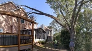Emergency Tree Service North Atlanta, GA