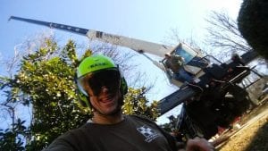 Emergency tree service in Avondale Estates, GA