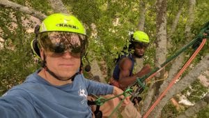 emergency tree service brookhaven ga