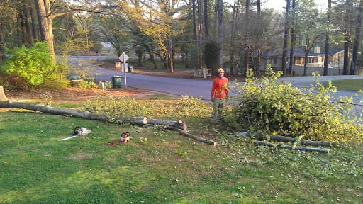 tree trimming near me