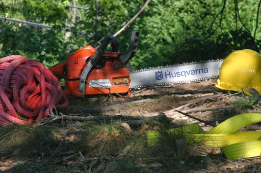 tree trimming tools