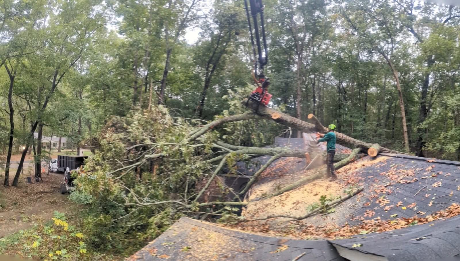 Grapple-saw crane head lifting a cut oak trunk section off an Alpharetta roof, sawdust flying, September 2024