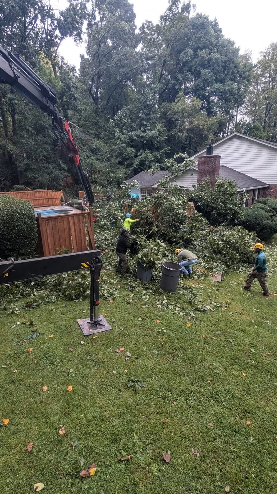 Tree crew clearing storm debris into bins beside a backyard pool in Atlanta GA, September 2024