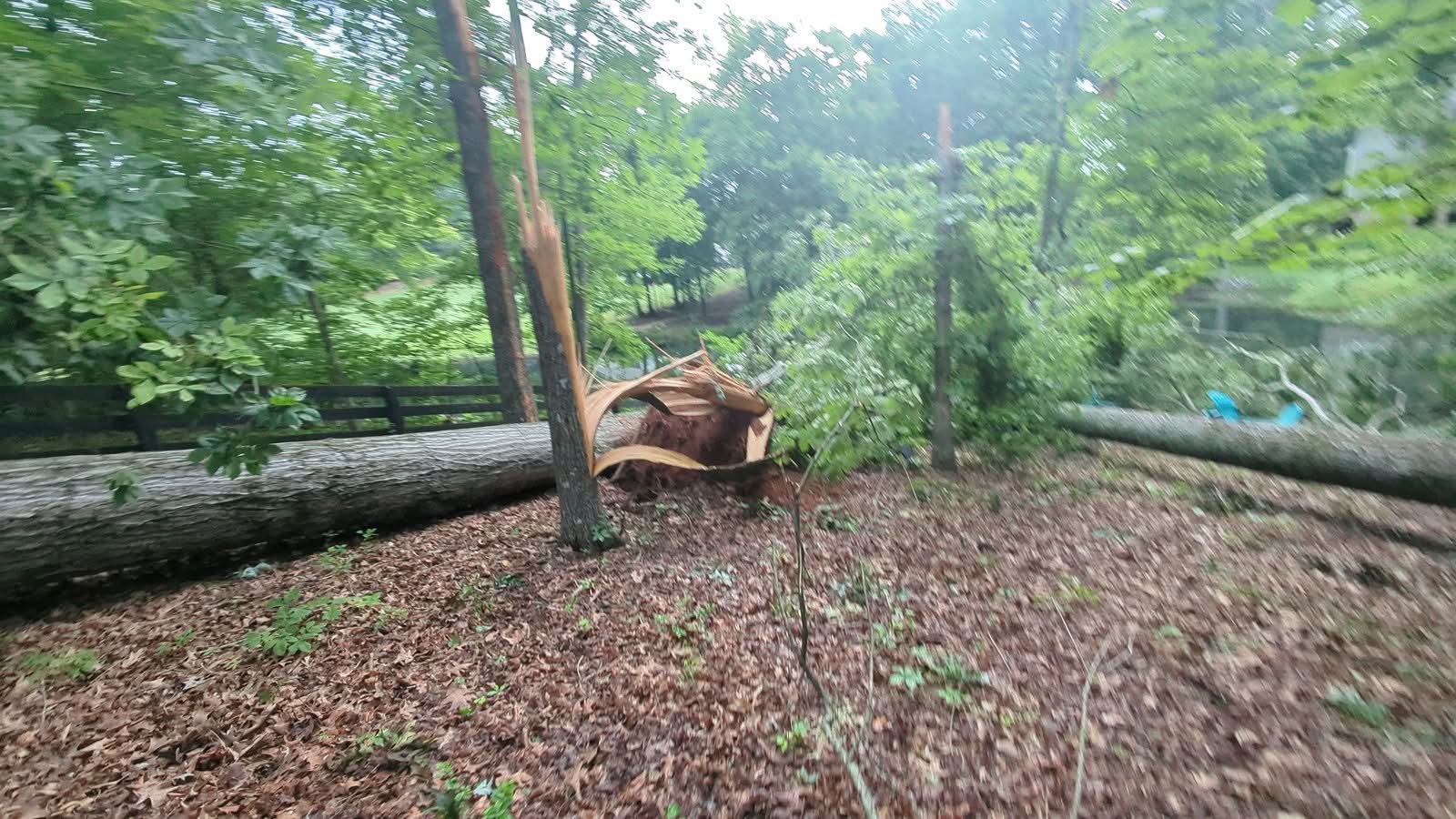 Splintered snapped tree trunk between downed oaks in Cumming GA, June 2025