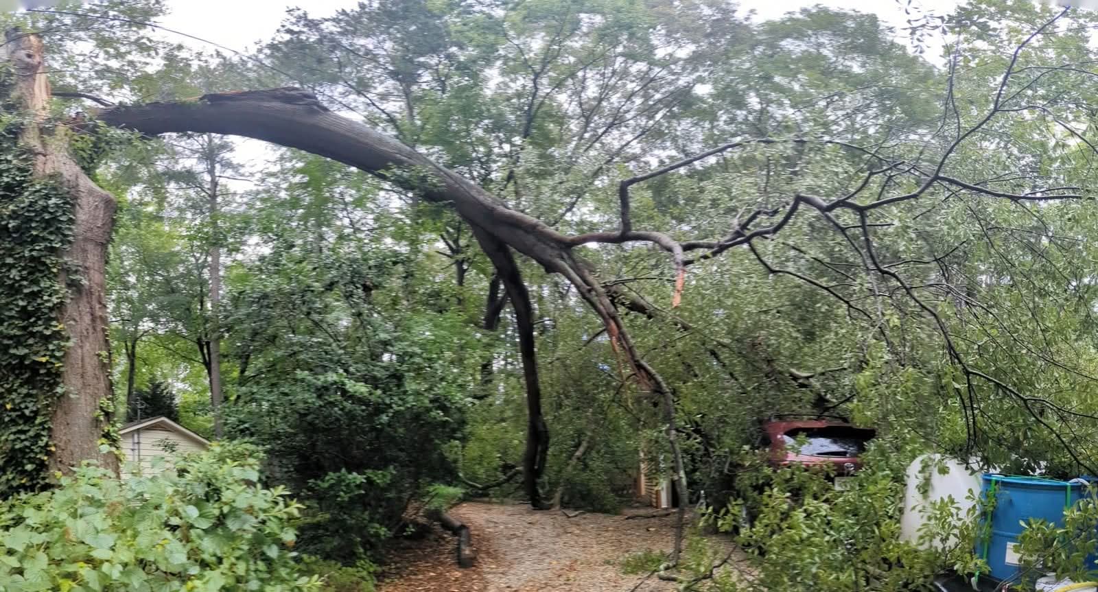 Snapped hardwood trunk arched over a driveway with a damaged SUV beneath in Decatur GA, July 2024