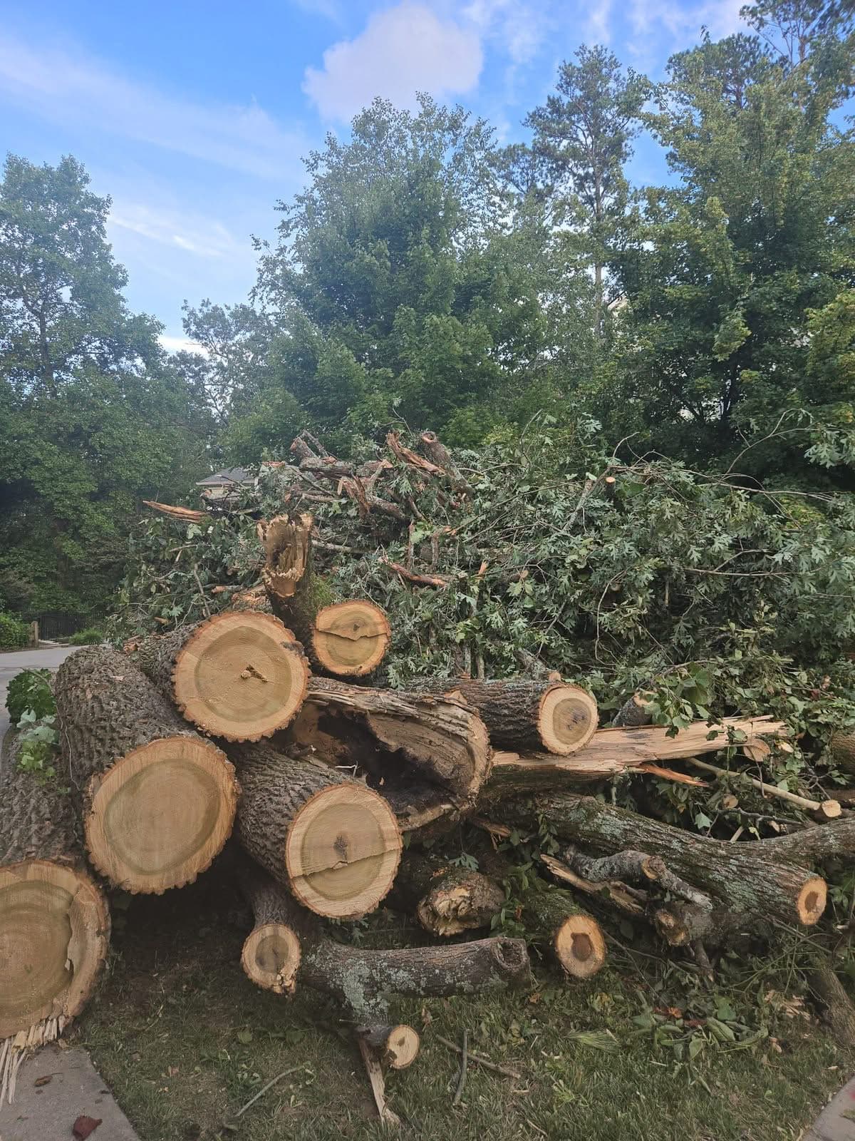 Cut logs stacked in a pile at the curb after storm cleanup