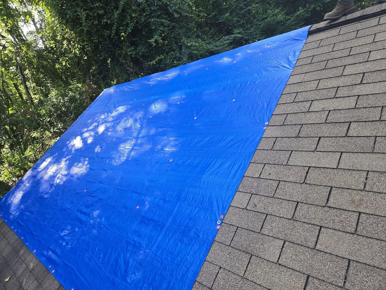 Roof tarped after emergency tree removal in Marietta GA, July 2025