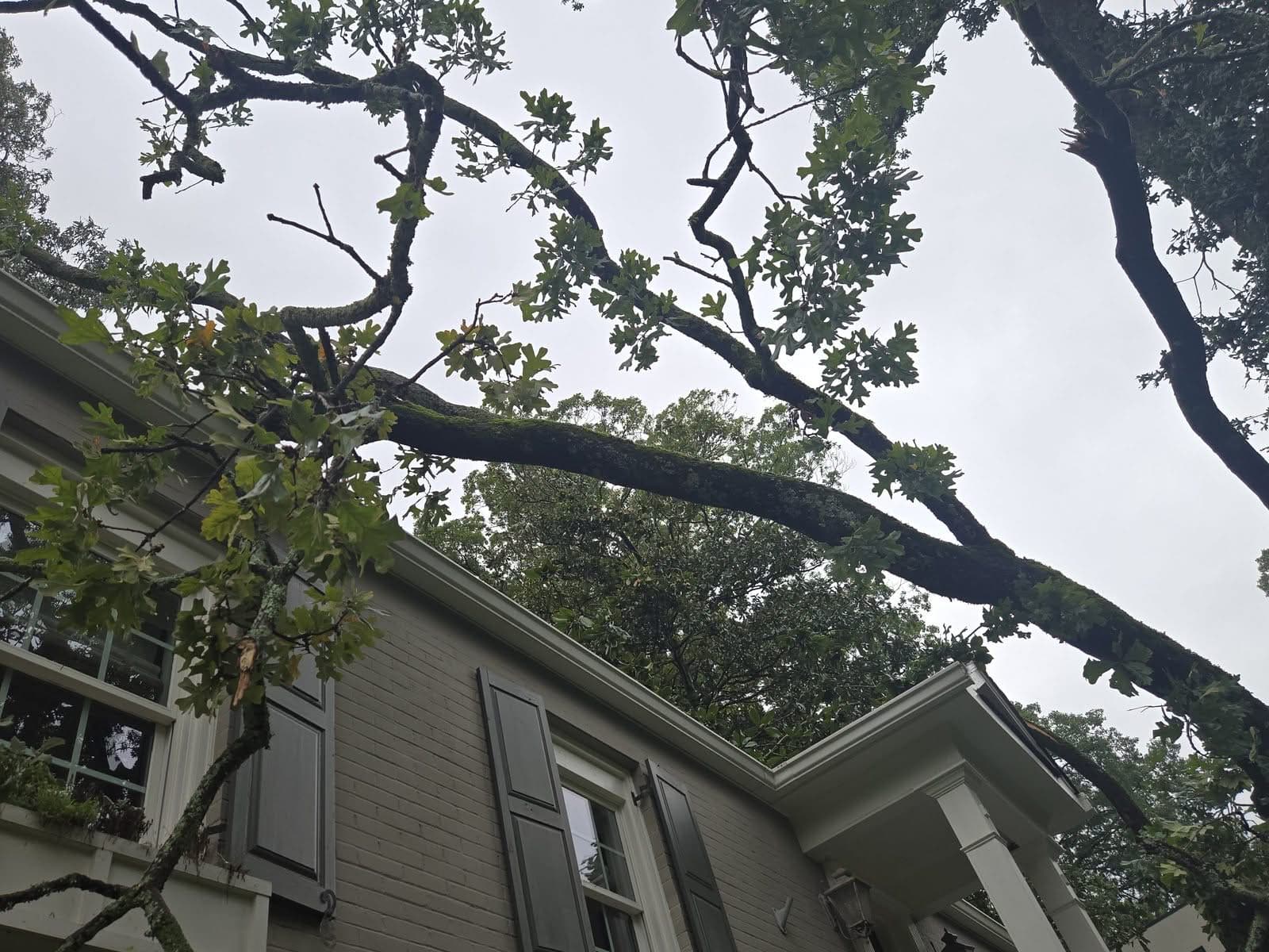 Broken oak limbs hanging over a house's shuttered windows and porch roof