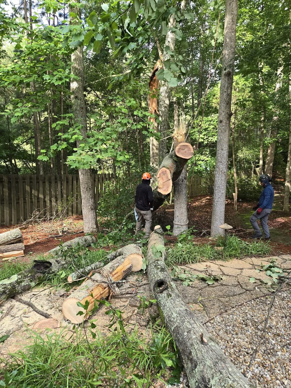 Tree crew standing by a storm-snapped trunk bucked into sections in a Powder Springs GA backyard, June 2025