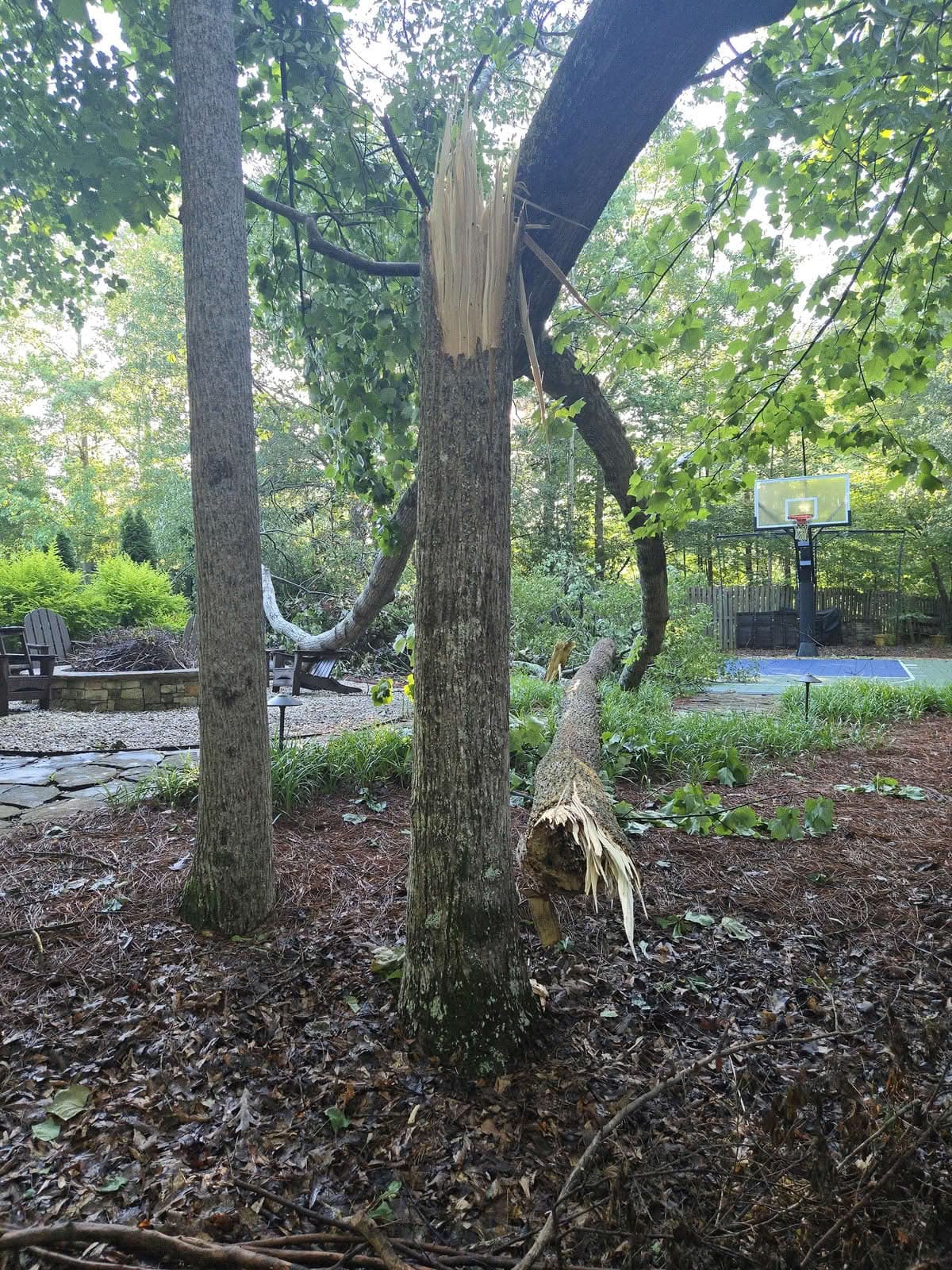 Snapped tree trunk with splintered break near a backyard basketball court in Powder Springs GA, June 2025