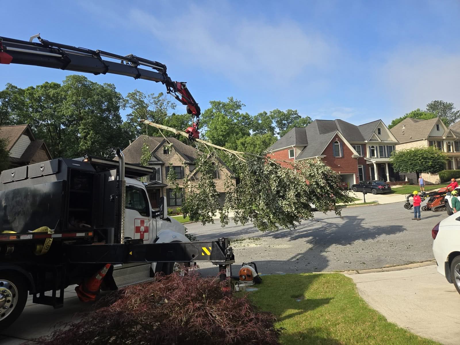 Crane swinging a leafy tree limb out over the street to the truck in Smyrna GA, June 2025