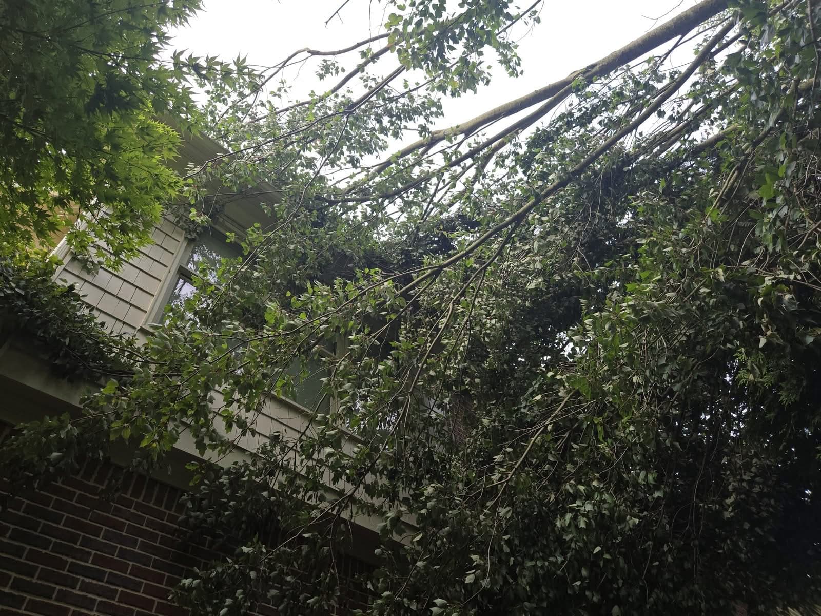 Fallen tree limbs resting against the side of a two-story house in Smyrna GA, June 2025