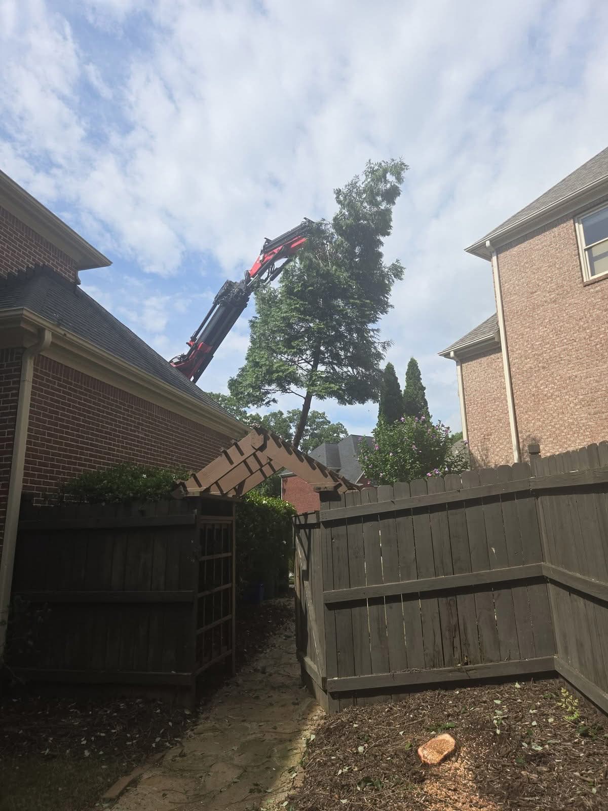 Grapple-saw crane reaching over the roofline into a tight fenced backyard in Smyrna GA, June 2025