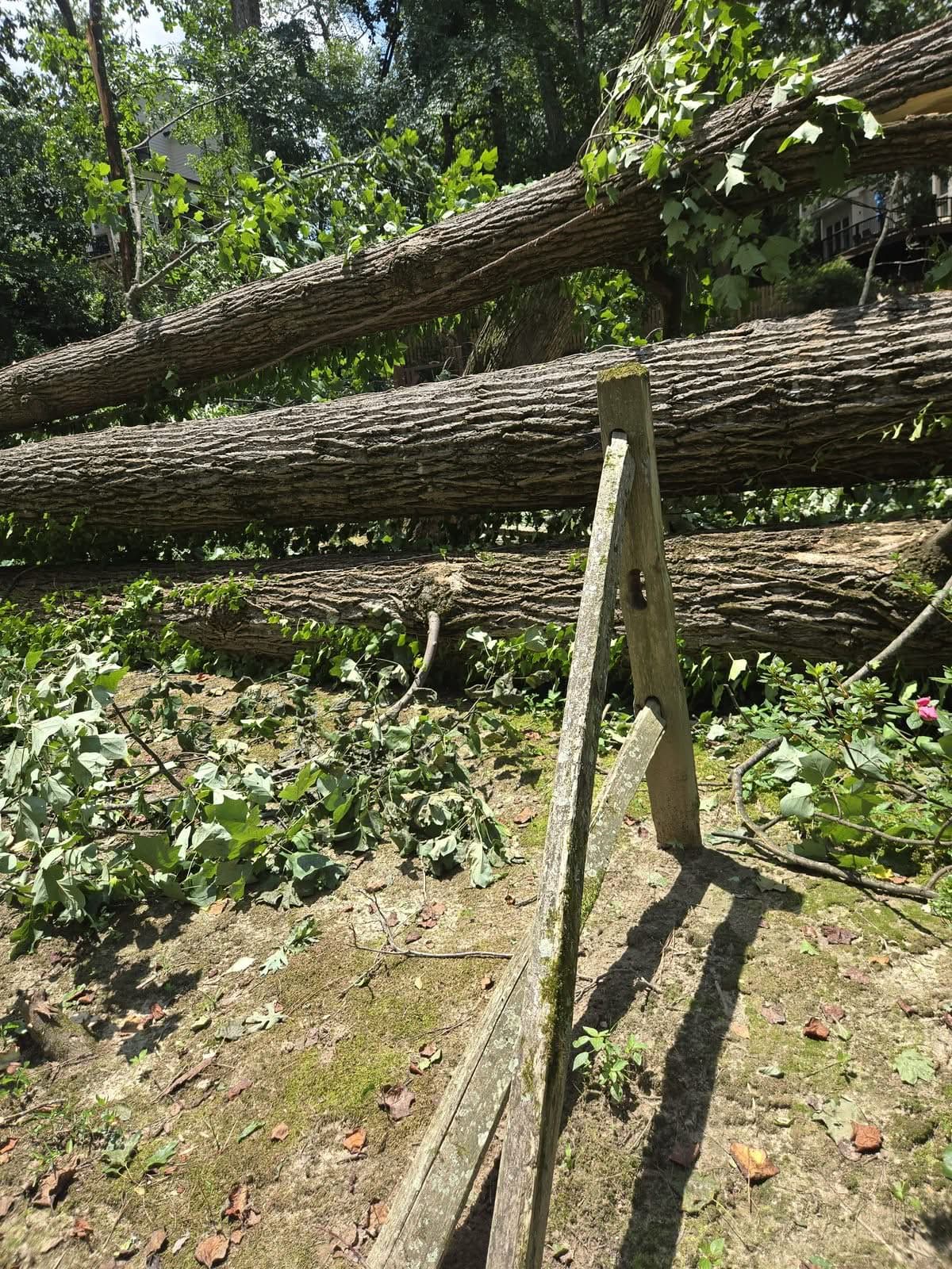 Three large fallen tree trunks lying across a broken backyard fence after a storm