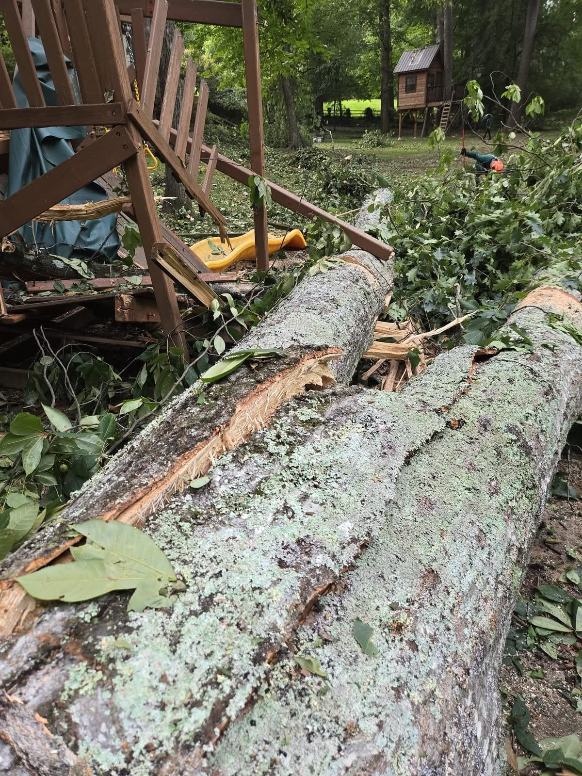Two fallen tree trunks lying across a damaged wooden backyard playset