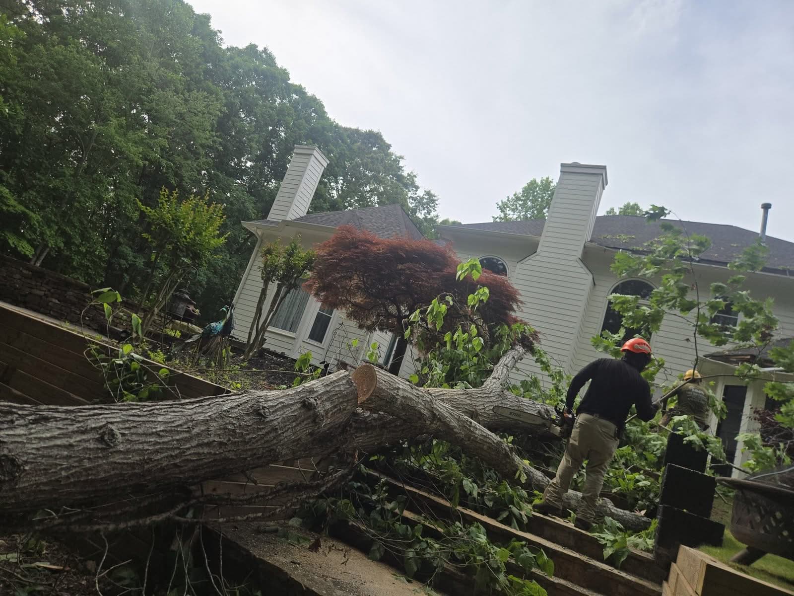 Tree crew cutting a fallen oak trunk into sections behind a Woodstock GA home, May 2026
