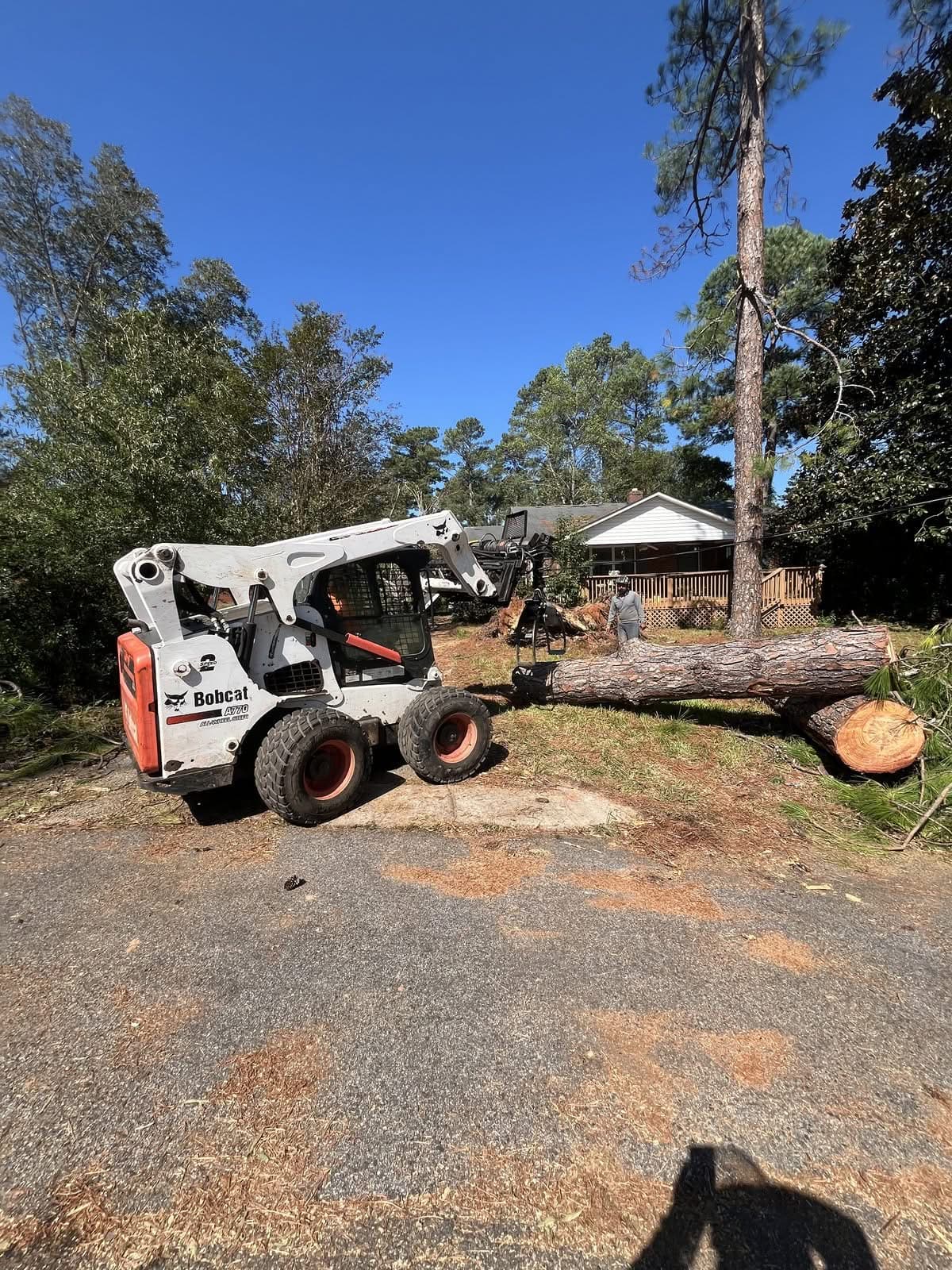 Skid steer with grapple beside a large bucked pine log during storm cleanup