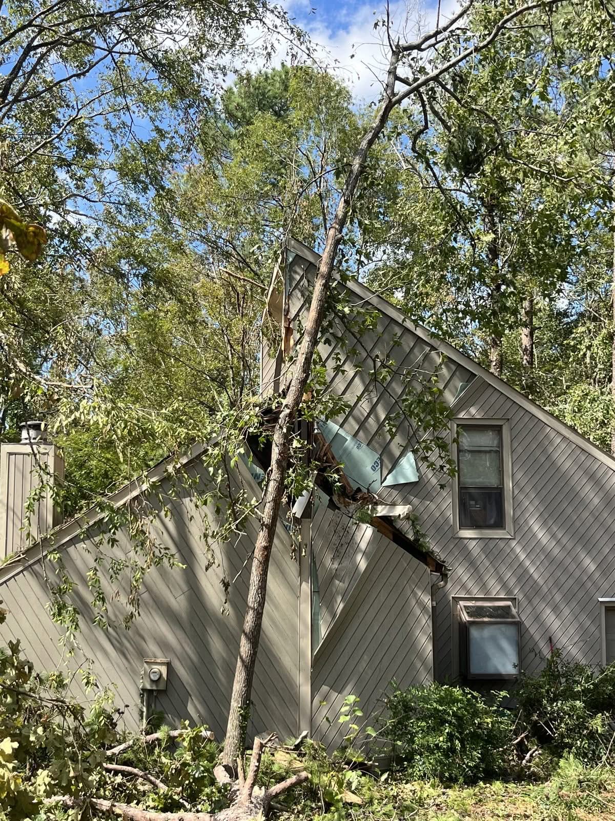 Pine tree fallen into a house wall with punctured siding before removal