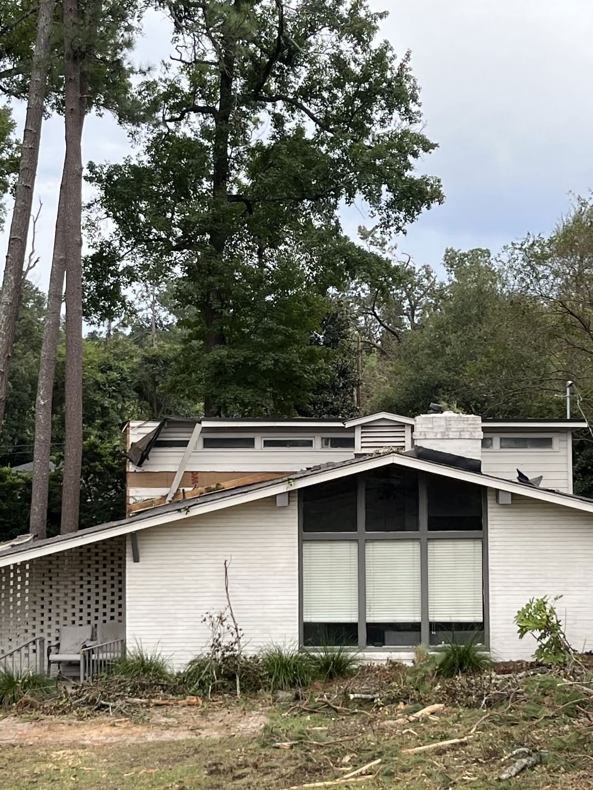 Home roofline with a sheared eave and torn roofing after a tree strike