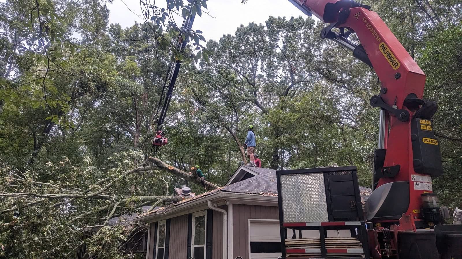Palfinger grapple-saw crane set up over an Alpharetta GA home with a storm-fallen oak on the roof, September 2024