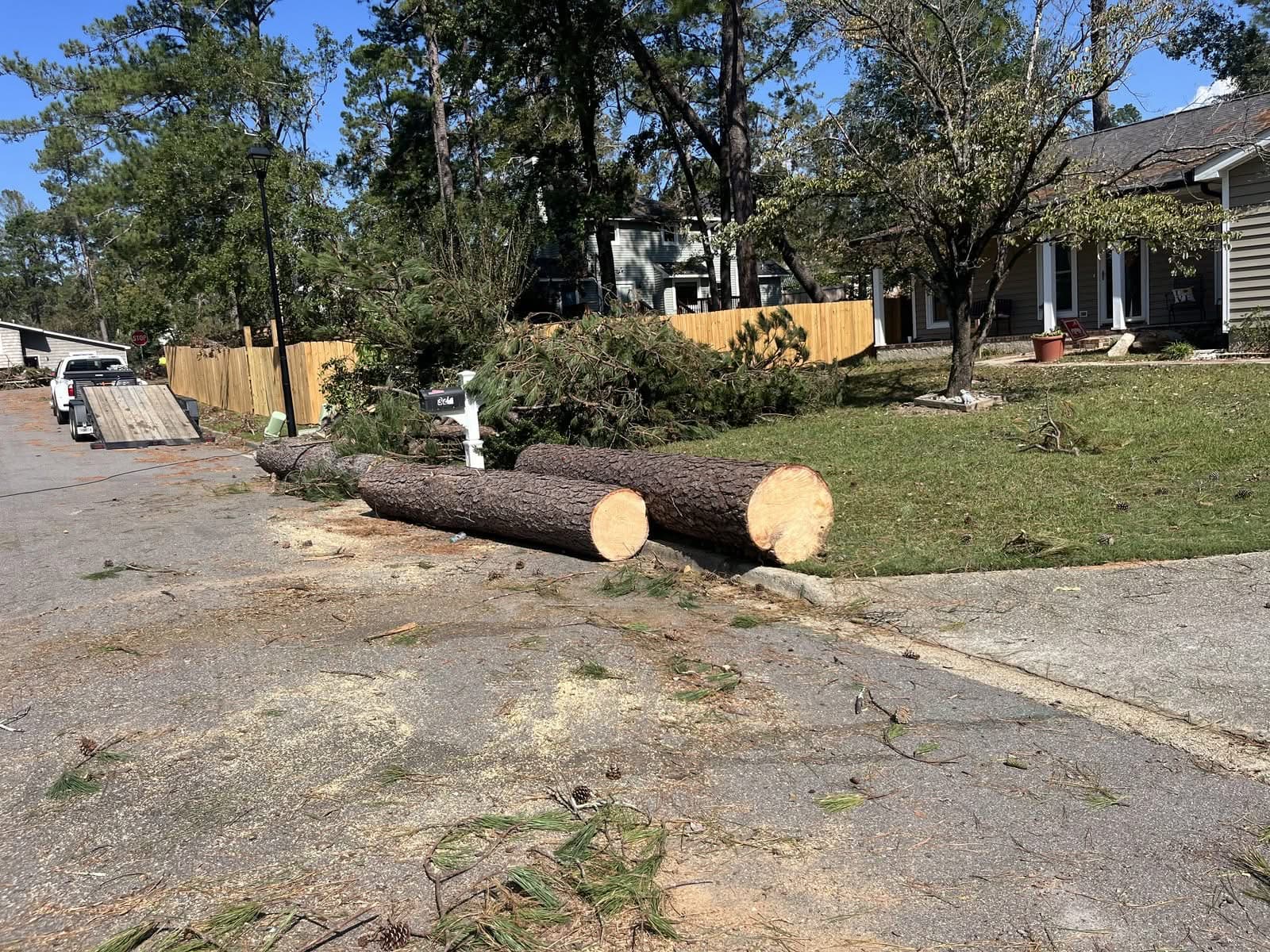 Pine trunk sections bucked and lying at the curb after emergency tree removal